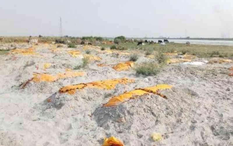 గంగానది ఇసుకతిన్నెల్లో బయటపడ్డ శవాలు