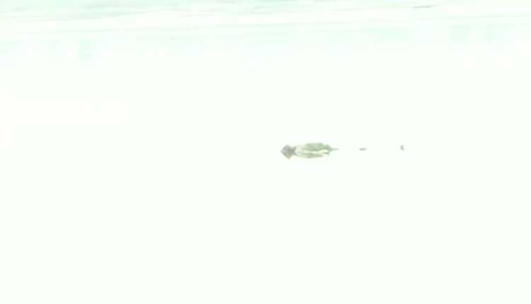 నదిలోకి కొవిడ్‌ మృతదేహం