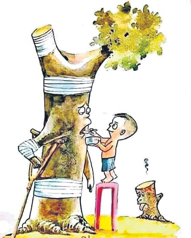 నాటే ప్రతి మొక్కా.. ప్రాణాధారమే