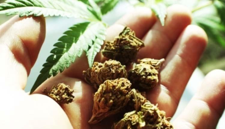 ముంబైలో రూ.1.18 కోట్ల విలువైన చరాస్‌ పట్టివేత.. ఇద్దరు అరెస్ట్‌