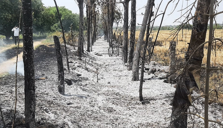 ఎమ్మెల్యే రాజయ్య వ్యవసాయ క్షేత్రంలో భారీ అగ్ని ప్రమాదం