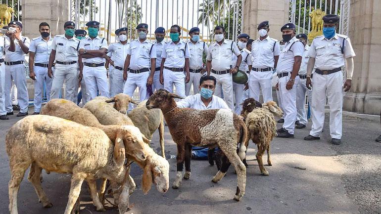 రాజ్‌భ‌వ‌న్ ముందు గొర్రెలతో నిర‌స‌న‌..