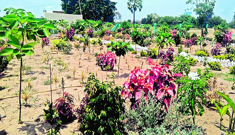 శంభునిపల్లి.. వేగంగా ప్రగతి