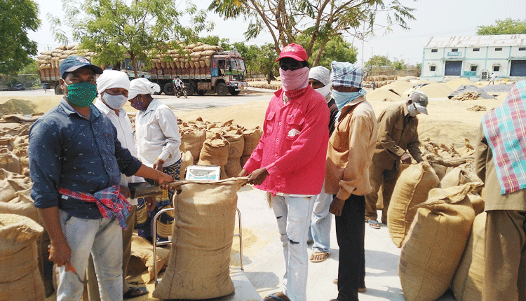 శరవేగంగా ధాన్యం కొనుగోళ్లు