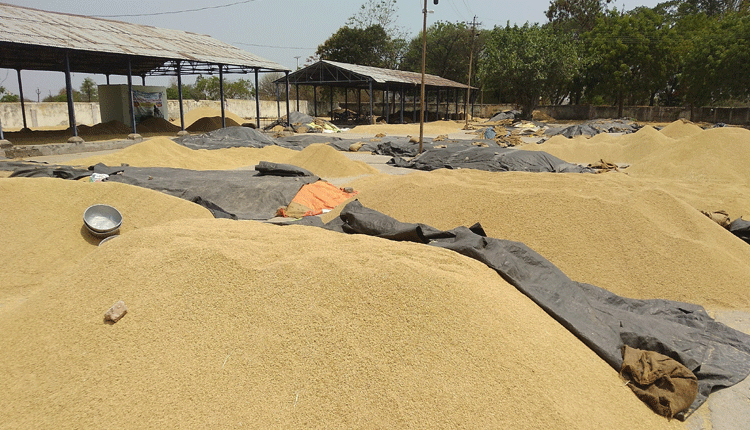 సంక్షేమ పథకాలతో వ్యవసాయాభివృద్ధి