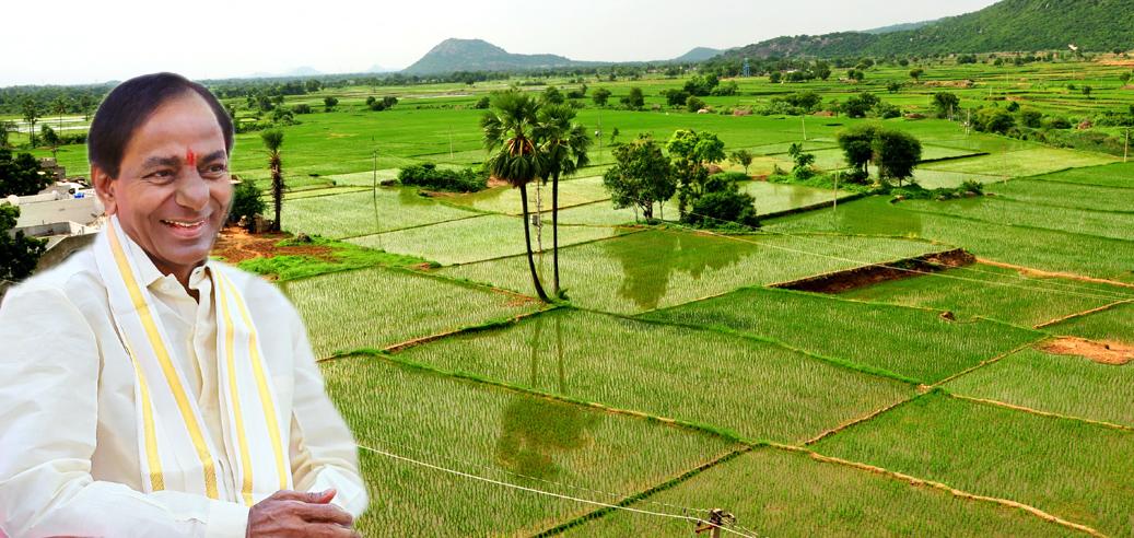 అసలు సిసలు రైతు బంధువు