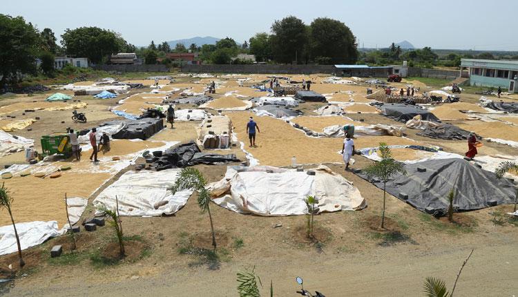 అన్నదాత ఇంట సిరుల పంట