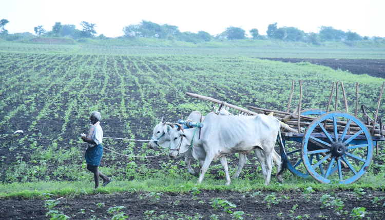 వానకాలం సాగుకు ప్రణాళిక రెడీ