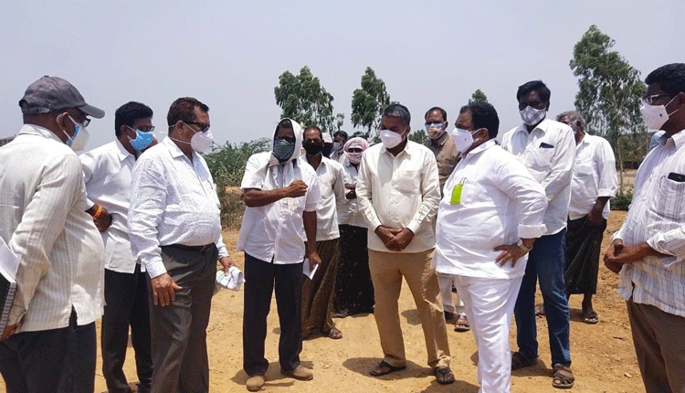 చెరువు అభివృద్ధికి ప్రత్యేక కృషి