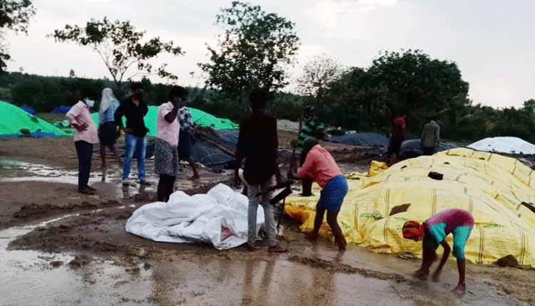 భద్రాద్రి జిల్లాలో అకాల వర్షం