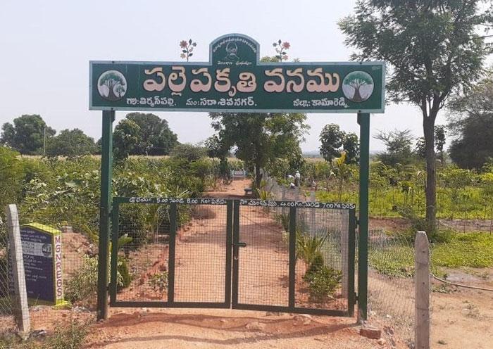 హరిత పల్లెగా తిర్మన్‌పల్లి