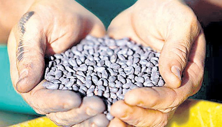 ‘హెచ్‌టీ’పై నిఘా