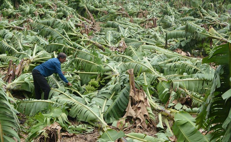 గండం గడిచింది