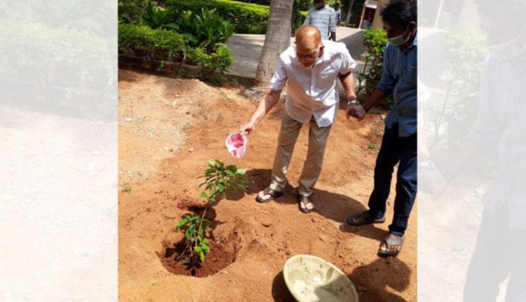 గ్రీన్ ఇండియా ఛాలెంజ్‌లో పాల్గొన్న సూప‌ర్ స్టార్ కృష్ణ‌