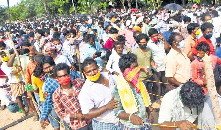 ఆనందయ్య మందుపై అధ్యయనం