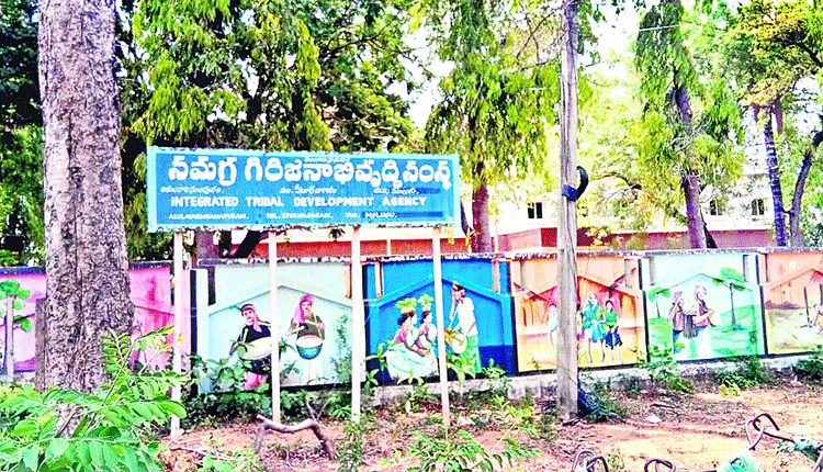 గిరిజనులకు భరోసా!