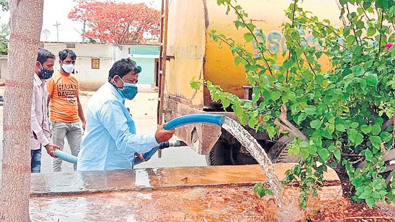 ప్రతి మొక్కనూ సంరక్షించాలి