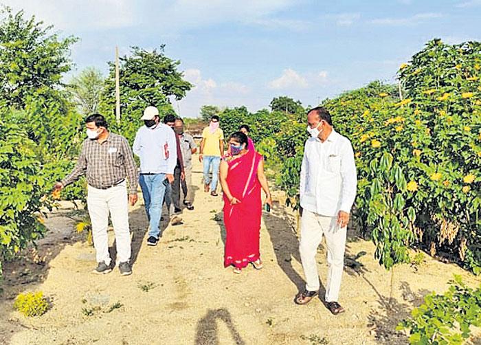 నాటిన మొక్కలను సంరక్షించాలి : డీఆర్డీవో