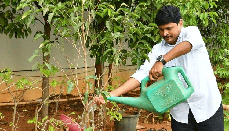 వృక్షాల ప్రాధాన్యతను చాటిచెప్పే ‘ట్రీ ఆఫ్ యూనిటీ’