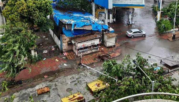 ముంబైలో గాలివాన బీభ‌త్సం.. కూలిన చెట్లు, క‌రెంటు స్తంభాలు