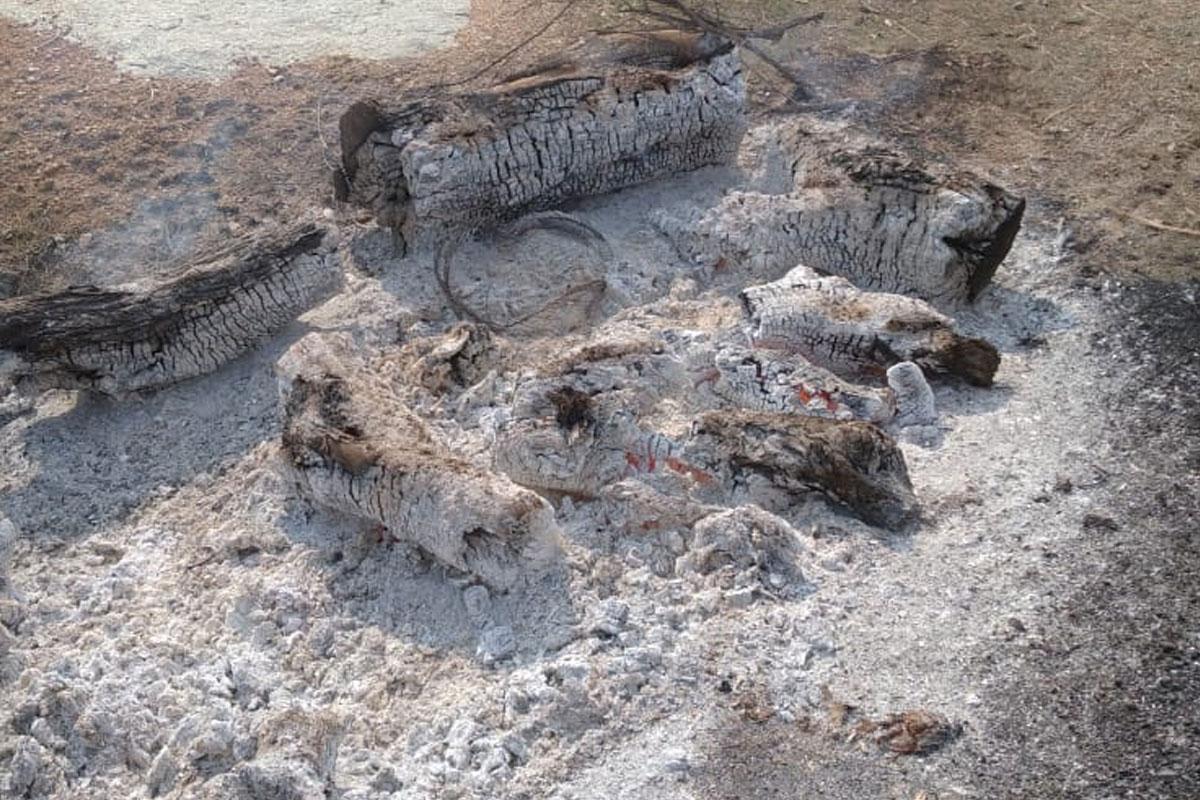 దారుణం.. వదినను హతమార్చి తగులబెట్టిన మరిది