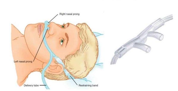 ఊపిరి పోసేందుకు దారులెన్నో..