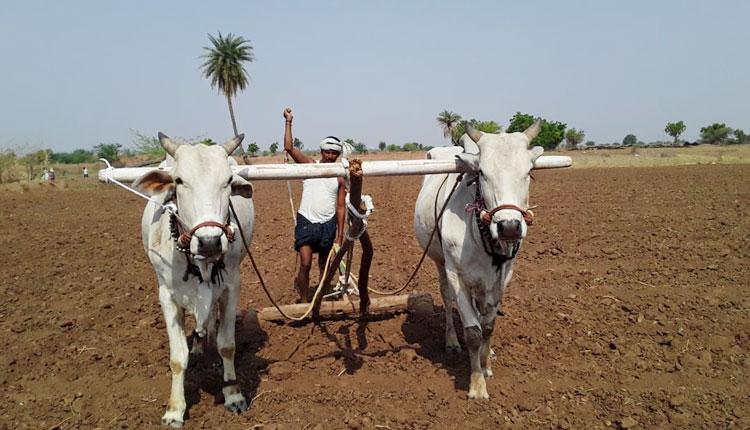 వేసవి దుక్కులతో..ప్రయోజనాలు