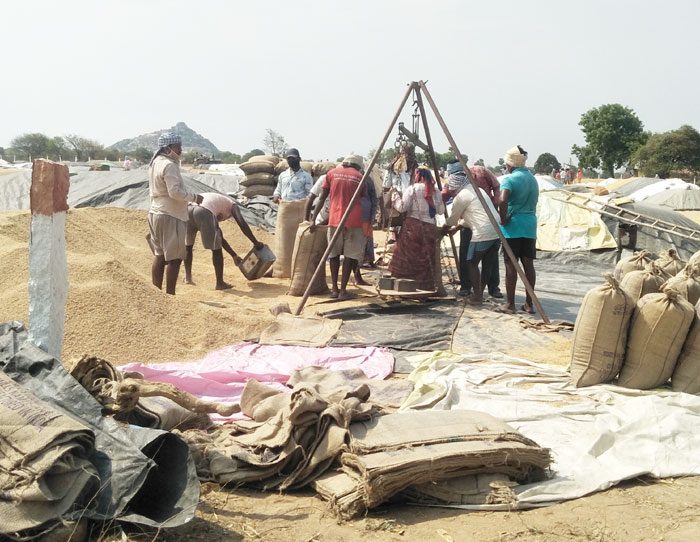 ధాన్యం కొనుగోళ్లు వేగవంతం