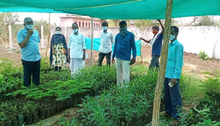 పల్లె ప్రగతి పనులపై నిర్లక్ష్యం వద్దు