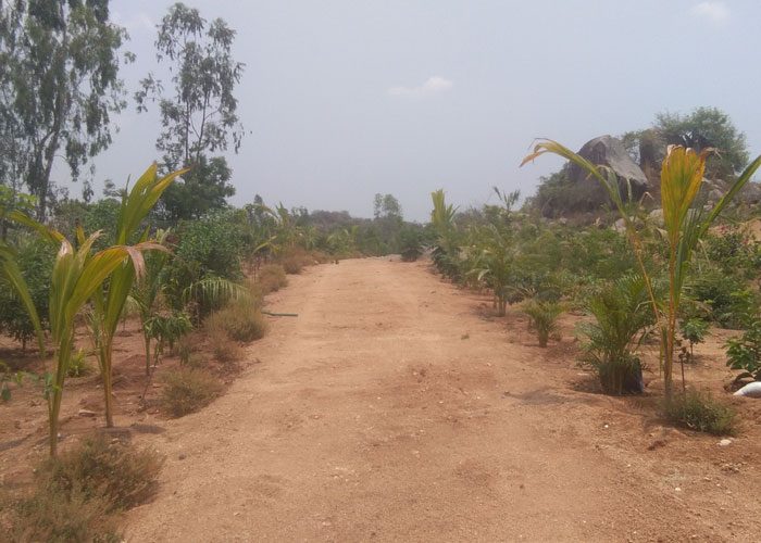 మాదాపూర్‌.. అభివృద్ధిలో సూపర్‌