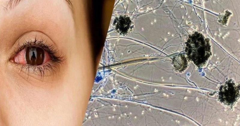 యంత్రాంగం అలర్ట్‌