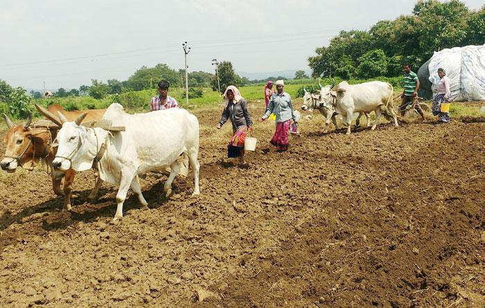 సాగుకు సన్నద్ధం