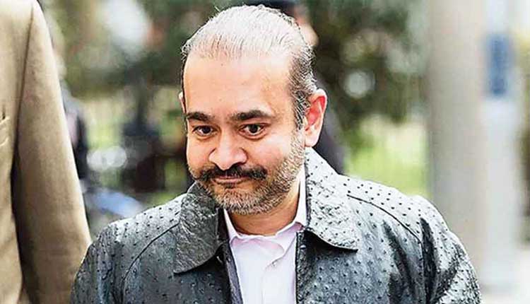 Nirav Modi | పీఎన్బీ రుణ ఎగవేత కేసులో కీలక పరిణామం.. నవంబర్ 23న భారత్కు నీరవ్ మోదీ..?