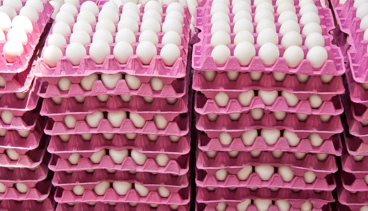 ఆరోగ్యానికి ‘అండ’గా..