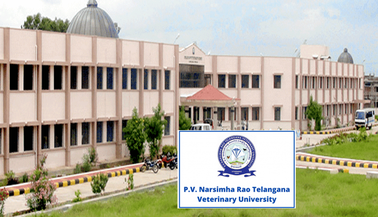 పీవీ నరసింహారావు వర్సిటీలో పీహెచ్డీ @ వెటర్నరీ సైన్స్