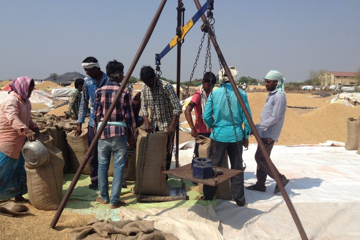 ధాన్యం సేకరణపై ఫిర్యాదులకు టోల్‌ ఫ్రీ నంబర్లు ఏర్పాటు