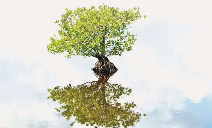 అవి శ్వాసించి.. మనకు ప్రాణమిప్తాయి..