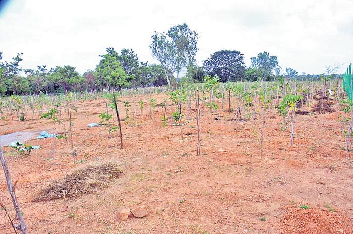 అంతారం..అందాలమయం