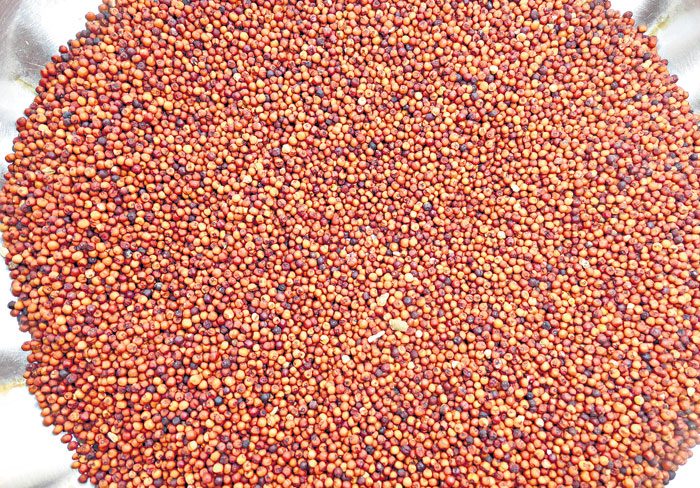 ఆక్సిజన్‌ లెవల్స్‌కాపాడుకుందాం!