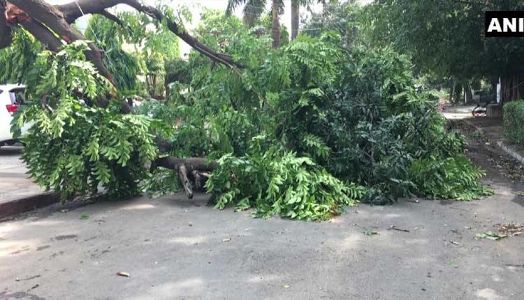 చండీగ‌ఢ్‌లో వ‌రుణ బీభ‌త్సం..!