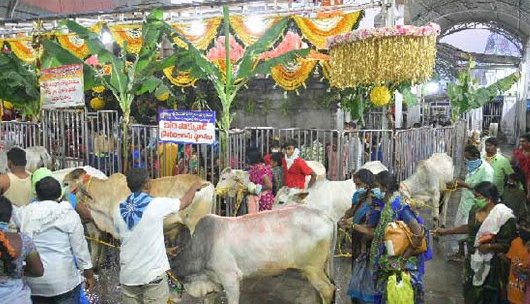 రాజ‌న్న ఆల‌యంలో కోడె మొక్కులు నిలిపివేత‌