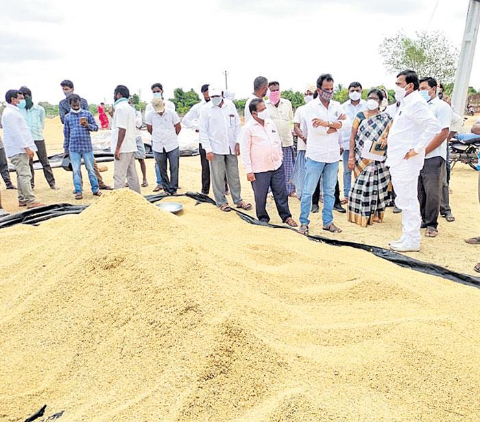 ప్రతి గింజనూ కొనుగోలు చేస్తాం