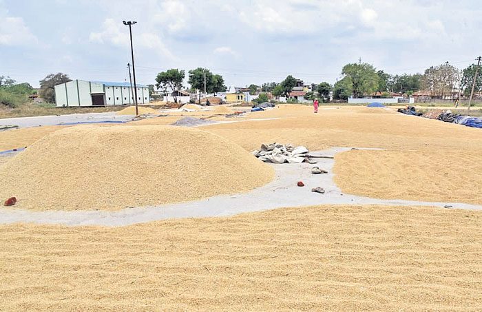 1,76,104 మెట్రిక్‌ టన్నులు రూ.332.48కోట్లు