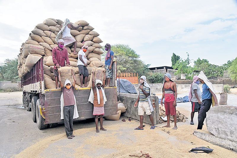 దండిగ ధాన్యం..చెంతనే కాంటా!