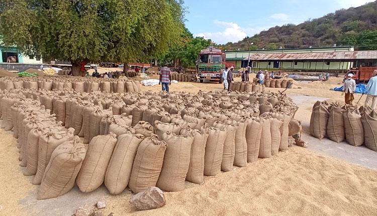 శరవేగంగా ధాన్యం కొనుగోళ్లు