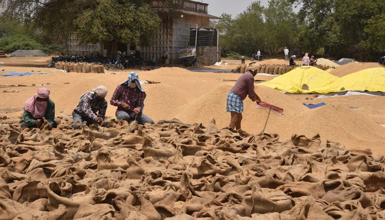 రైతుకు రంది లేకుండా..