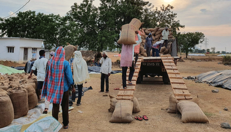 2,88,835 మెట్రిక్‌ టన్నులు సేకరణ