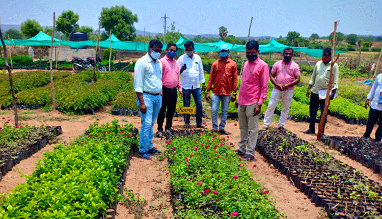 నర్సరీలపై ప్రత్యేక శ్రద్ధ వహించాలి