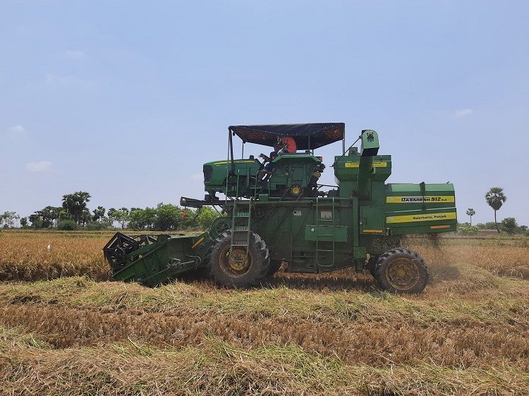 వరి కోతలో జాగ్రత్తలు