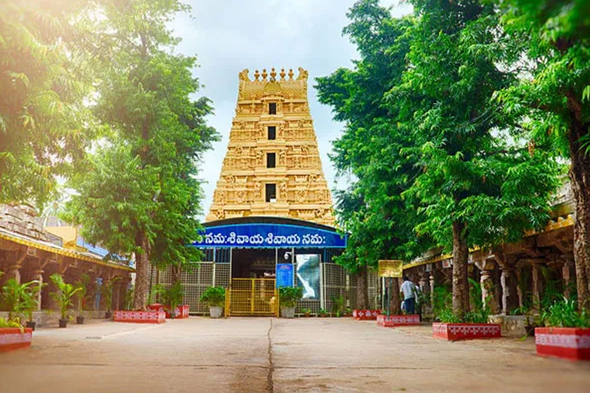 శ్రీశైలంలో పూర్తిగా తగ్గిన భక్తుల రద్దీ